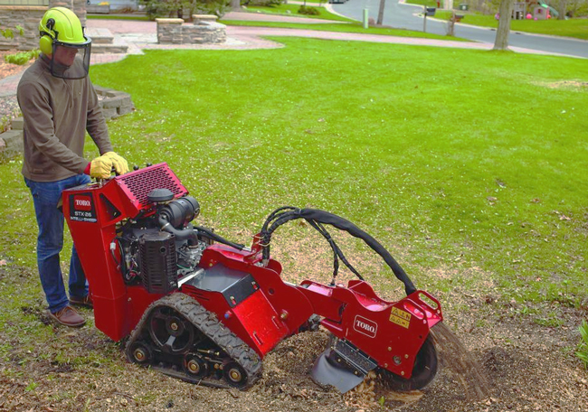 Stump Grinder Rental Tampa: Slash Through Stumps Fast! - Rentalex